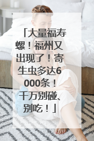 大量福寿螺！福州又出现了！寄生虫多达6000条！千万别碰、别吃！