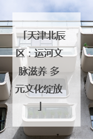 天津北辰区：运河文脉滋养 多元文化绽放