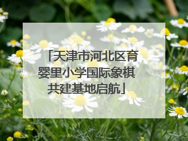 天津市河北区育婴里小学国际象棋共建基地启航