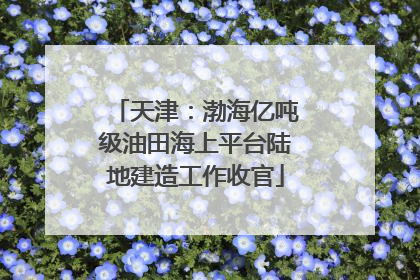 天津：渤海亿吨级油田海上平台陆地建造工作收官