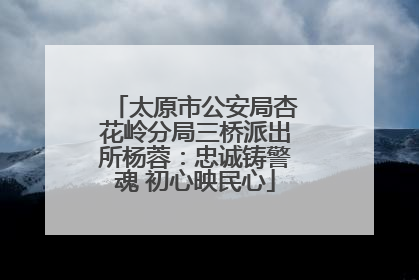太原市公安局杏花岭分局三桥派出所杨蓉：忠诚铸警魂 初心映民心