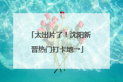 太出片了！沈阳新晋热门打卡地→