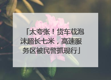 太夸张！货车载泡沫超长七米，高速服务区被民警抓现行