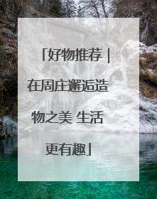好物推荐｜在周庄邂逅造物之美 生活更有趣