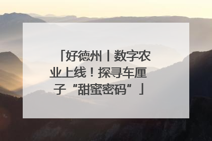 好德州丨数字农业上线！探寻车厘子“甜蜜密码”