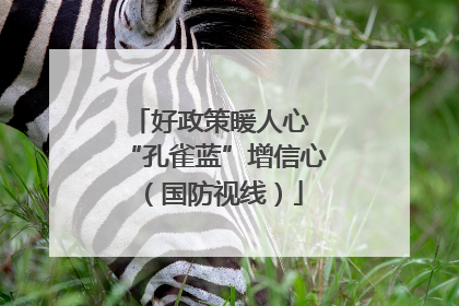 好政策暖人心 “孔雀蓝”增信心（国防视线）