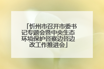 忻州市召开市委书记专题会暨中央生态环境保护督察边督边改工作推进会