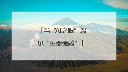 当“AI之眼”遇见“生命微雕”