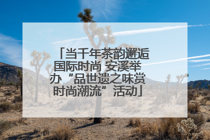 当千年茶韵邂逅国际时尚 安溪举办“品世遗之味赏时尚潮流”活动