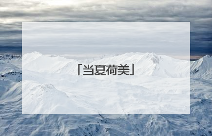 当夏荷美