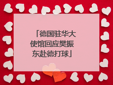 德国驻华大使馆回应樊振东赴德打球