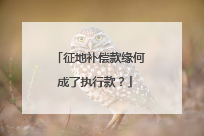 征地补偿款缘何成了执行款？