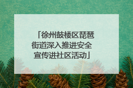 徐州鼓楼区琵琶街道深入推进安全宣传进社区活动