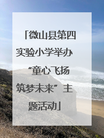 微山县第四实验小学举办“童心飞扬 筑梦未来”主题活动