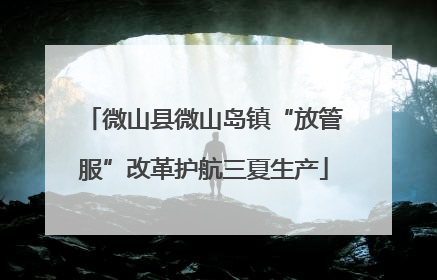 微山县微山岛镇“放管服”改革护航三夏生产