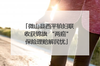 微山县西平镇妇联收获锦旗 “两癌”保险理赔解民忧