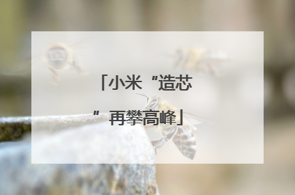 小米“造芯”再攀高峰