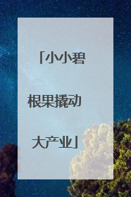 小小碧根果撬动大产业