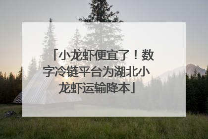 小龙虾便宜了！数字冷链平台为湖北小龙虾运输降本