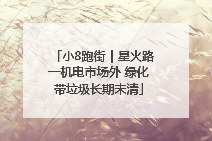 小8跑街｜星火路一机电市场外 绿化带垃圾长期未清