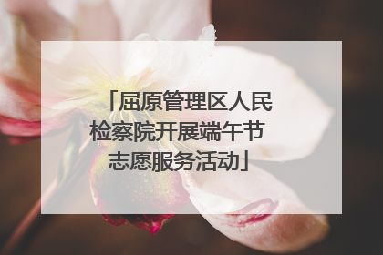 屈原管理区人民检察院开展端午节志愿服务活动