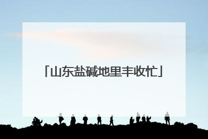 山东盐碱地里丰收忙