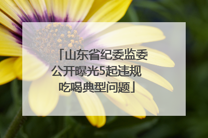 山东省纪委监委公开曝光5起违规吃喝典型问题