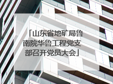 山东省地矿局鲁南院华鲁工程党支部召开党员大会