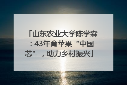 山东农业大学陈学森：43年育苹果“中国芯”，助力乡村振兴