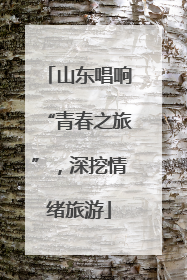 山东唱响“青春之旅”，深挖情绪旅游
