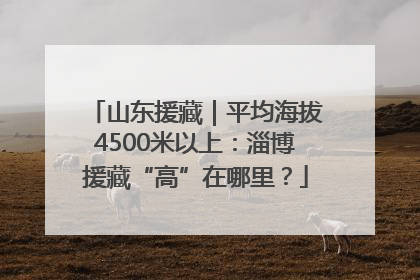 山东援藏｜平均海拔4500米以上：淄博援藏“高”在哪里？