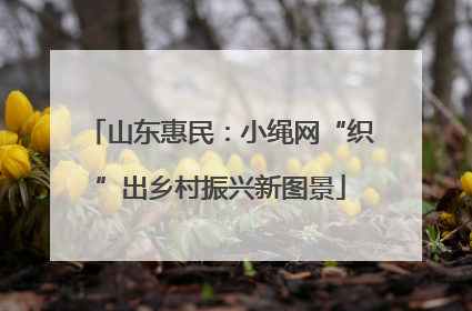 山东惠民：小绳网“织”出乡村振兴新图景