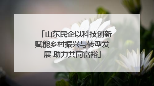 山东民企以科技创新赋能乡村振兴与转型发展 助力共同富裕
