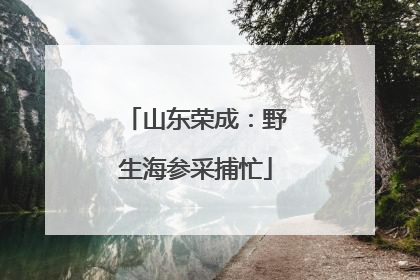 山东荣成：野生海参采捕忙