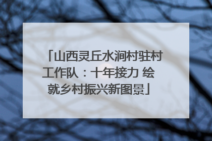 山西灵丘水涧村驻村工作队：十年接力 绘就乡村振兴新图景