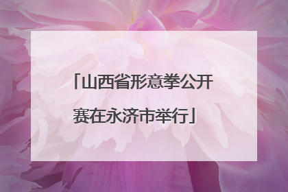 山西省形意拳公开赛在永济市举行