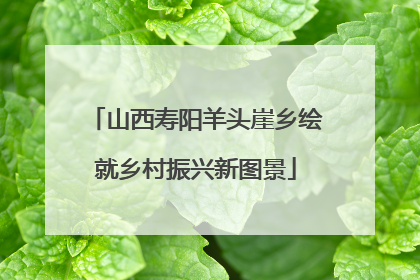 山西寿阳羊头崖乡绘就乡村振兴新图景