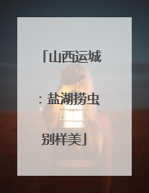 山西运城：盐湖捞虫别样美