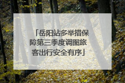 岳阳站多举措保障第三季度调图旅客出行安全有序