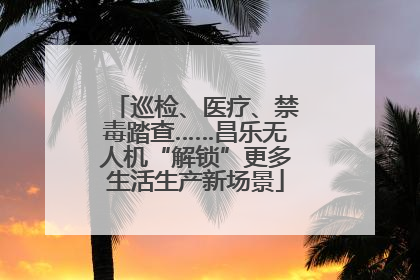 巡检、医疗、禁毒踏查……昌乐无人机“解锁”更多生活生产新场景