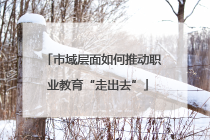 市域层面如何推动职业教育“走出去”