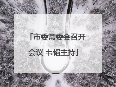市委常委会召开会议 韦韬主持
