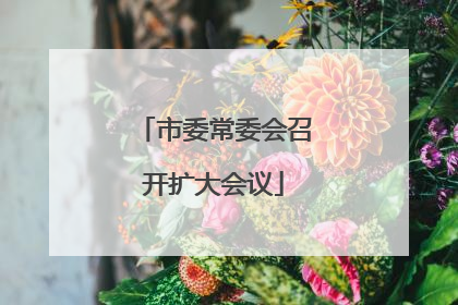 市委常委会召开扩大会议
