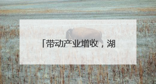 带动产业增收，湖州安吉的这个比赛项目展现“赛事 + 旅游”协同效应