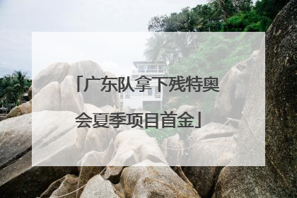 广东队拿下残特奥会夏季项目首金
