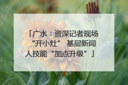 广水：资深记者现场“开小灶” 基层新闻人技能“加点升级”