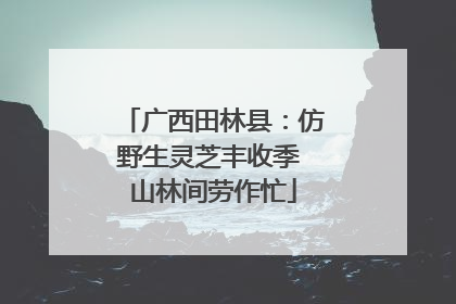 广西田林县：仿野生灵芝丰收季 山林间劳作忙
