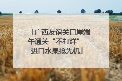 广西友谊关口岸端午通关“不打烊” 进口水果抢先机