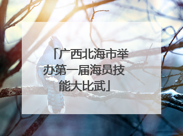 广西北海市举办第一届海员技能大比武