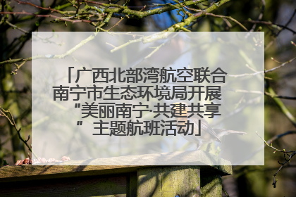 广西北部湾航空联合南宁市生态环境局开展“美丽南宁·共建共享”主题航班活动